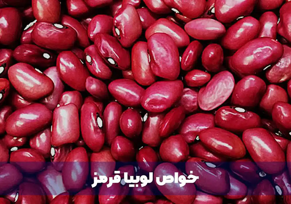 خواص لوبیا قرمز