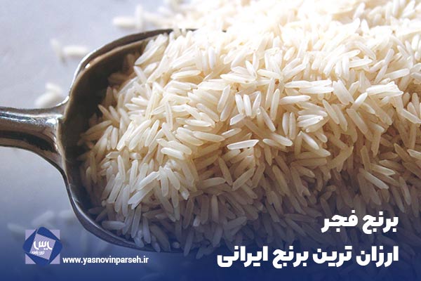 برنج فجر ارزان ترین برنج با کیفیت ایرانی