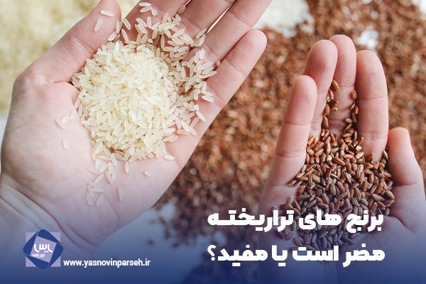 برنج های تراریخته مضر است یا مفید؟
