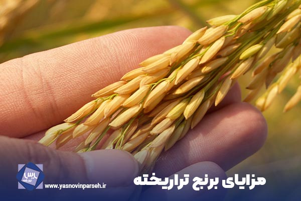 مزایای برنج تراریخته