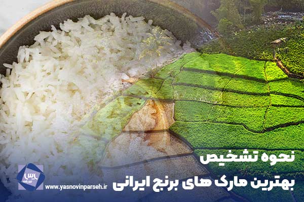 نحوه تشخیص بهترین مارک های برنج ایرانی