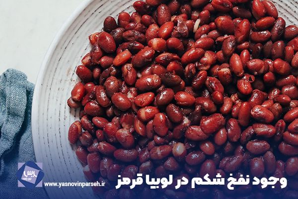 وجود نفخ شکم در لوبیا قرمز