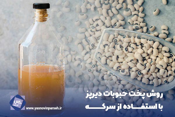 چگونه حبوبات دیرپز را بپزیم