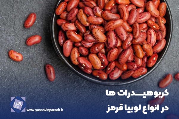 کربوهیدرات در لوبیا قرمز
