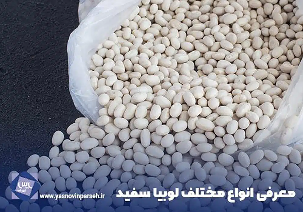 Properties-of-white-beans