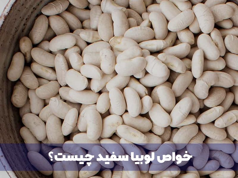 خواص لوبیا سفید