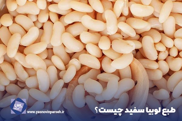 طبع لوبیا سفید