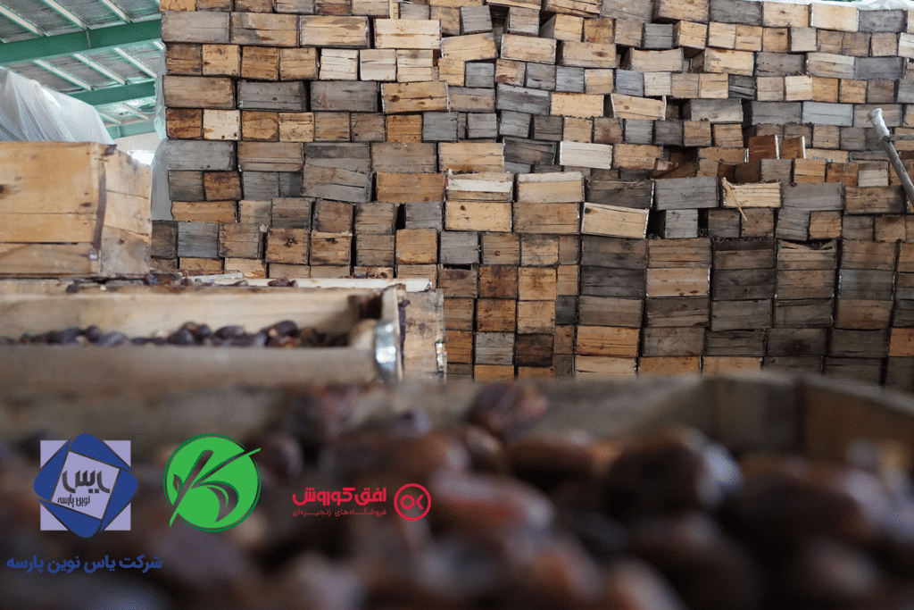 افق کوروش خرمای استعمران